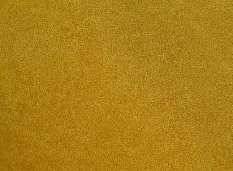 Nessi Apricot