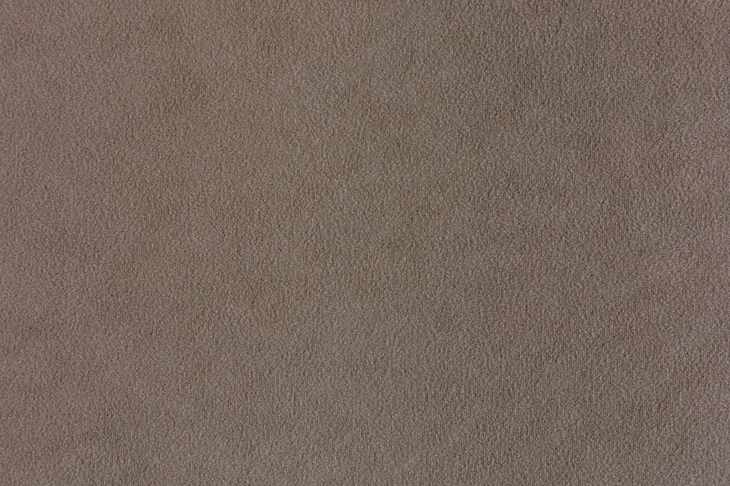 Siena 1004