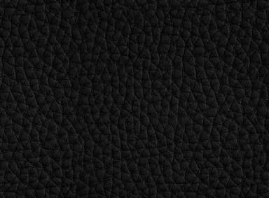 Eco-leather