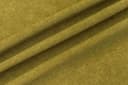 11 Olive