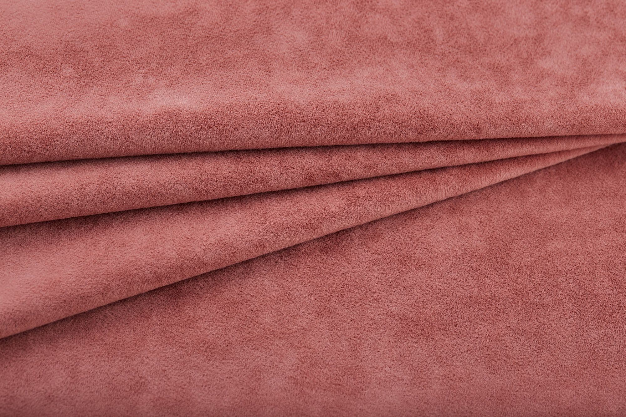 24 Coral