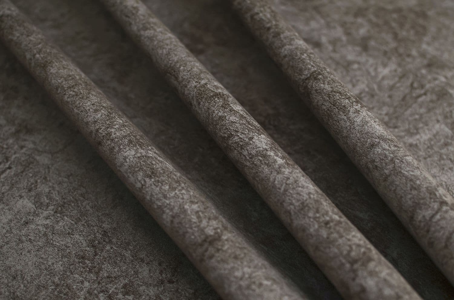 06 Cacao