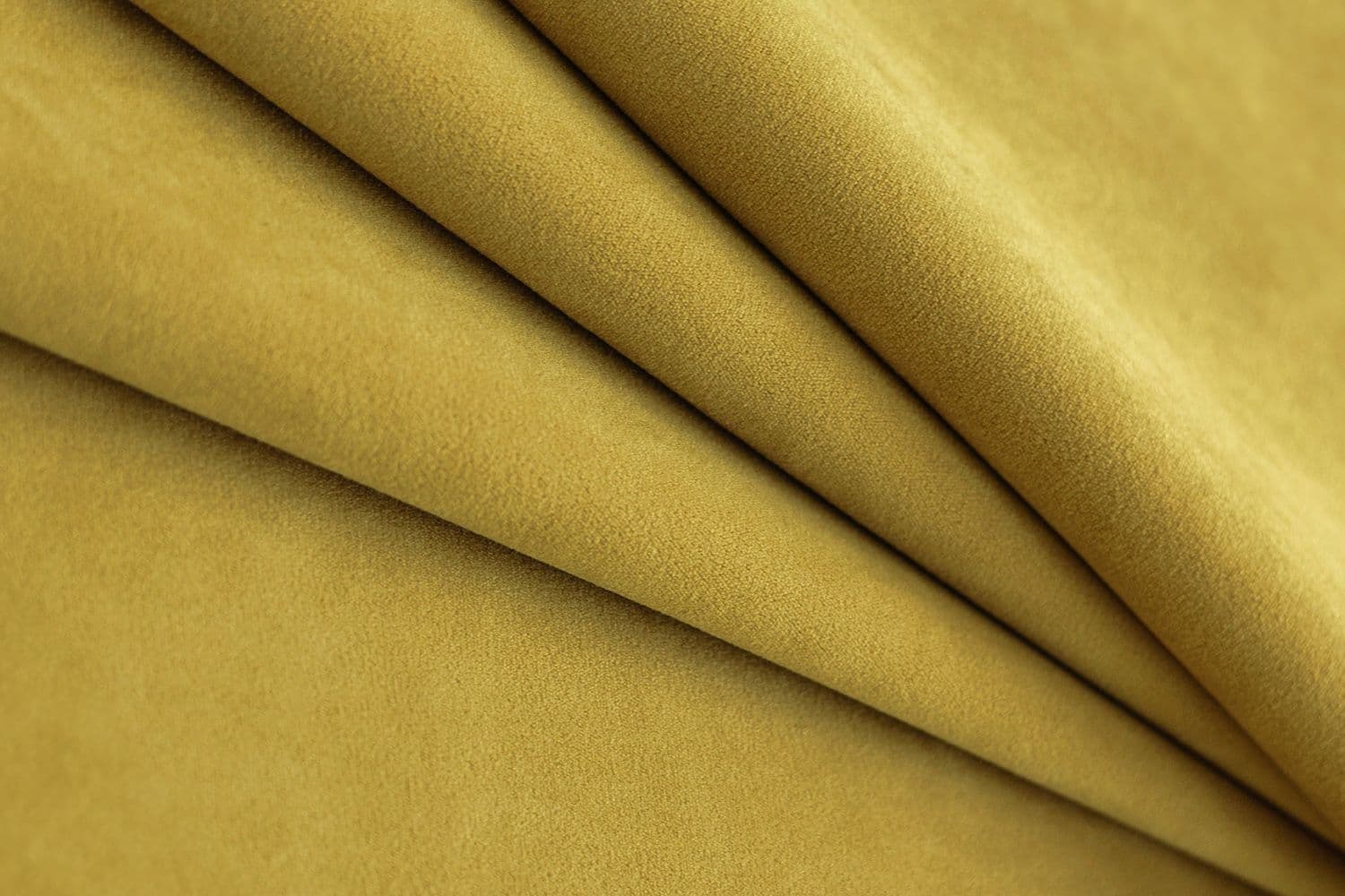 1017 Mimosa